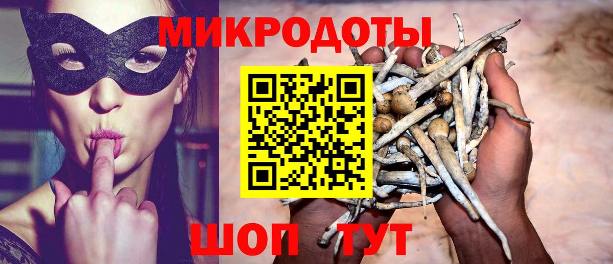 Галлюциногенные грибы прущие грибы  Вход с VPN  Тавда 