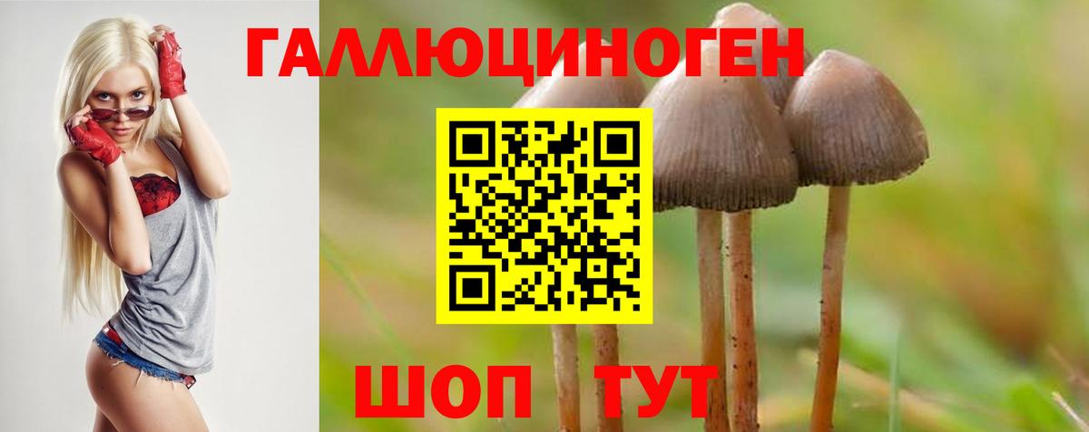 Галлюциногенные грибы мицелий Тавда